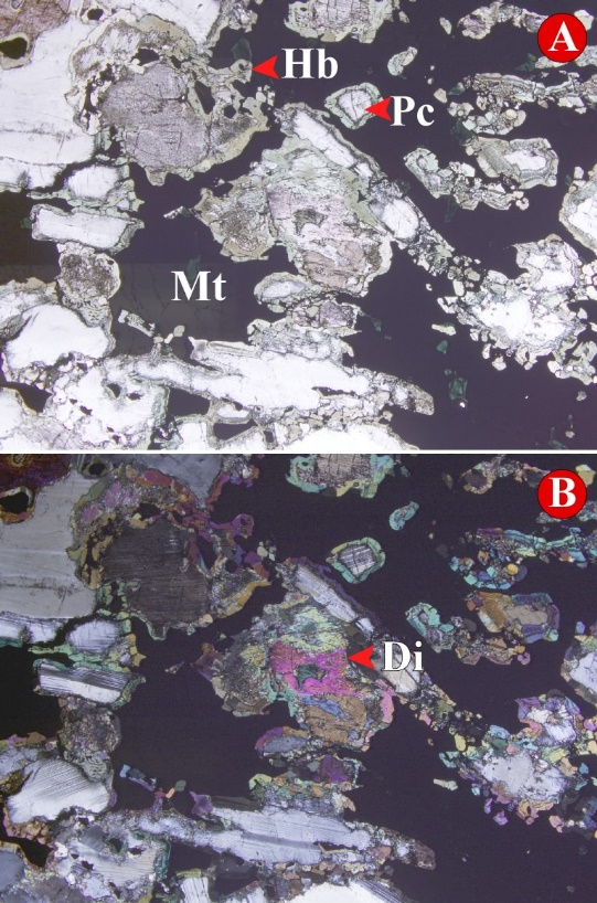 Petrography of Hawkeye zone shows significant magnetite (Mt) mineralization with a Hornblende (Hb), Diopside/ Orthopyroxene (Di) and Plagioclase groundmass