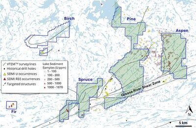 Figure 2. Planned VTEMTM flight lines for The Woods Projects (CNW Group/Fortune Bay Corp.)