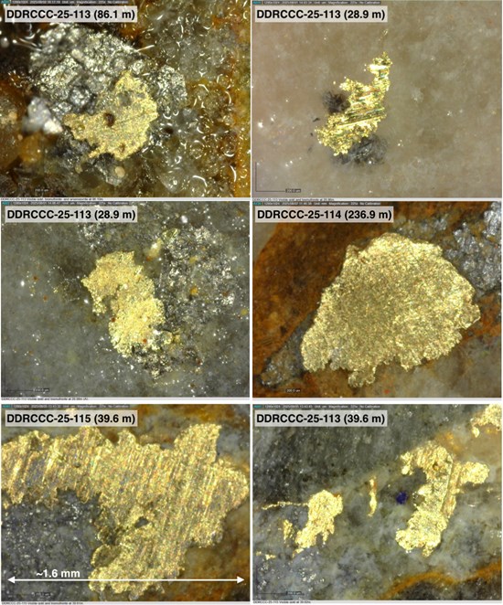 Cannot view this image? Visit: https://insiderlegacysecret.com/wp-content/uploads/2025/11/274133_fc8a8fb4f4ed5acf_006.jpg