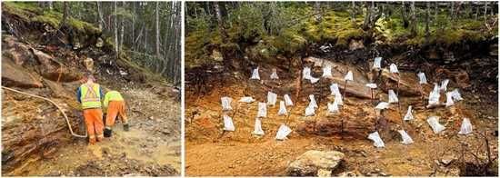 Cannot view this image? Visit: https://images.newsfilecorp.com/files/9885/273748_anteros11082025fig2_550.jpg