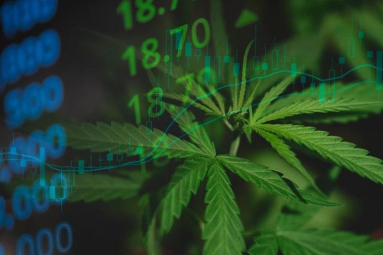 Cannabis Market 2025 Year-End Review