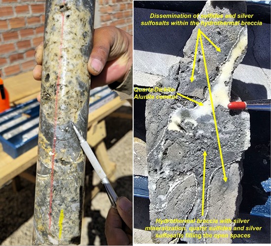 Cannot view this image? Visit: https://insiderlegacysecret.com/wp-content/uploads/2026/02/282337_figure4_550.jpg